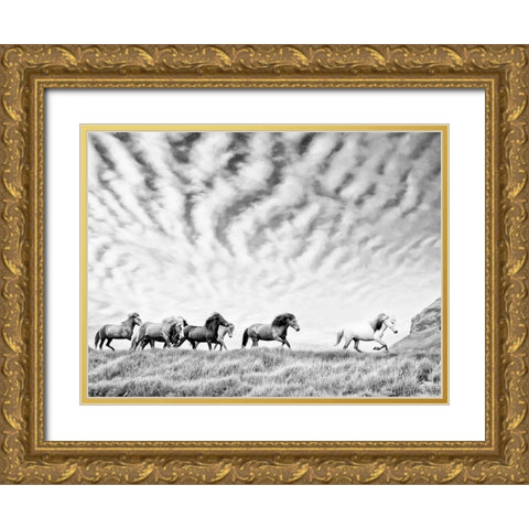 Horse Run III Gold Ornate Wood Framed Art Print with Double Matting by PHBurchett