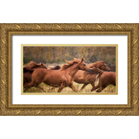 Horse Run VI Gold Ornate Wood Framed Art Print with Double Matting by PHBurchett
