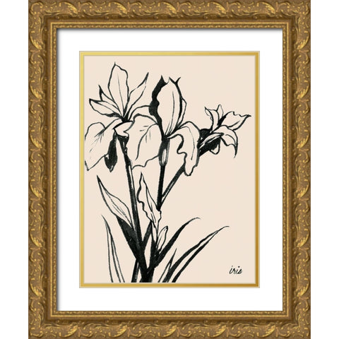 Iris Sketch III Gold Ornate Wood Framed Art Print with Double Matting by Popp, Grace