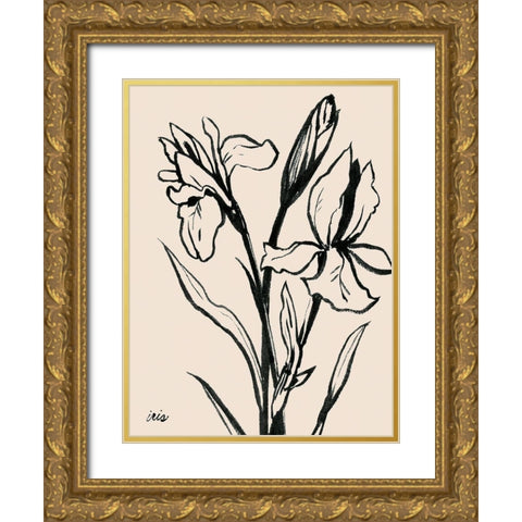 Iris Sketch IV Gold Ornate Wood Framed Art Print with Double Matting by Popp, Grace