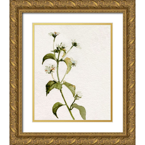White Antique Wildflower I Gold Ornate Wood Framed Art Print with Double Matting by Caroline, Emma