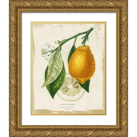 French Lemon II Gold Ornate Wood Framed Art Print with Double Matting by Studio W