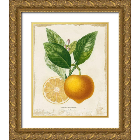French Lemon III Gold Ornate Wood Framed Art Print with Double Matting by Studio W