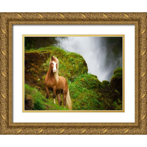 Collection of Horses I Gold Ornate Wood Framed Art Print with Double Matting by PHBurchett