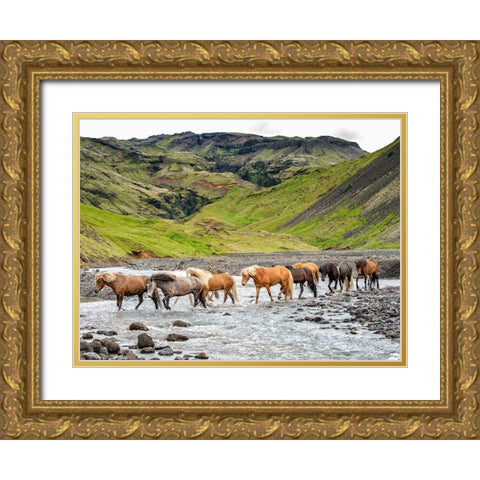 Collection of Horses II Gold Ornate Wood Framed Art Print with Double Matting by PHBurchett
