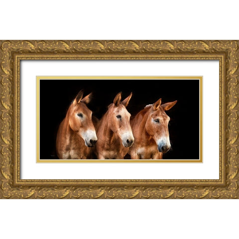 Collection of Horses IV Gold Ornate Wood Framed Art Print with Double Matting by PHBurchett