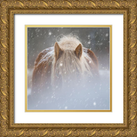 Collection of Horses V Gold Ornate Wood Framed Art Print with Double Matting by PHBurchett