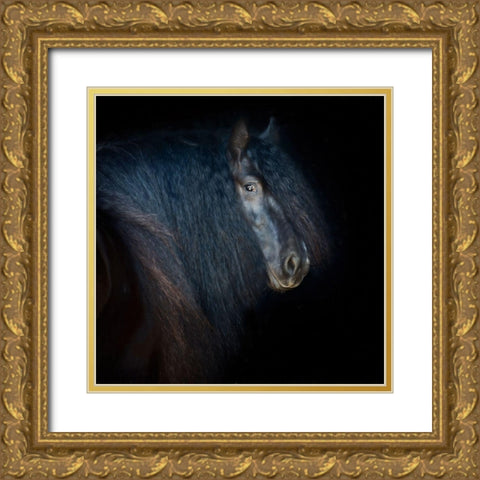 Collection of Horses VI Gold Ornate Wood Framed Art Print with Double Matting by PHBurchett
