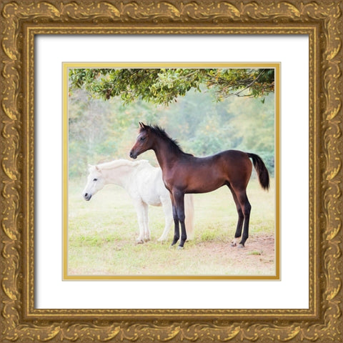 Collection of Horses VII Gold Ornate Wood Framed Art Print with Double Matting by PHBurchett