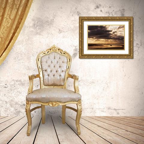 Water and Land IV Gold Ornate Wood Framed Art Print with Double Matting by PHBurchett