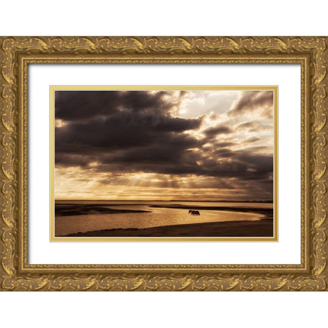 Water and Land IV Gold Ornate Wood Framed Art Print with Double Matting by PHBurchett