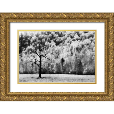 Water and Land VI Gold Ornate Wood Framed Art Print with Double Matting by PHBurchett