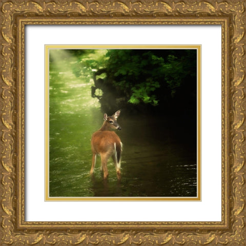 Water and Land VII Gold Ornate Wood Framed Art Print with Double Matting by PHBurchett