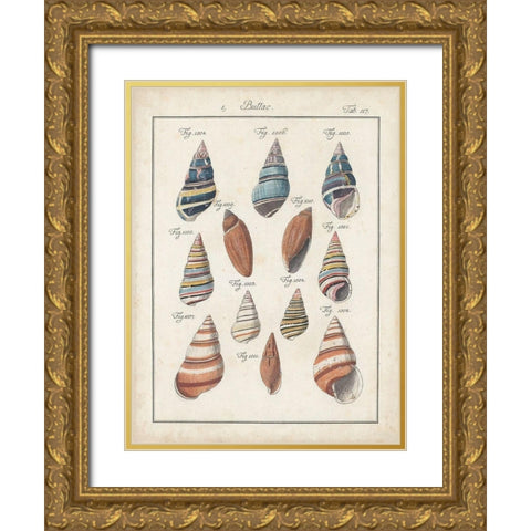 Antique Shell Pair I Gold Ornate Wood Framed Art Print with Double Matting by Deseve, Jacques