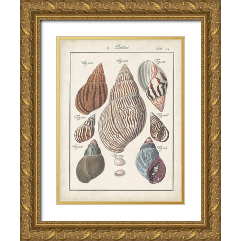 Antique Shell Pair II Gold Ornate Wood Framed Art Print with Double Matting by Deseve, Jacques