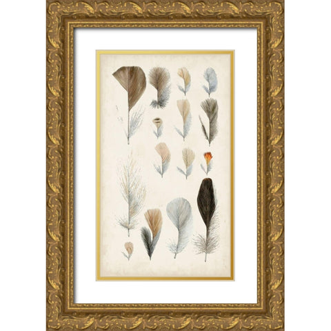 Antique Bird Feathers I Gold Ornate Wood Framed Art Print with Double Matting by Unknown