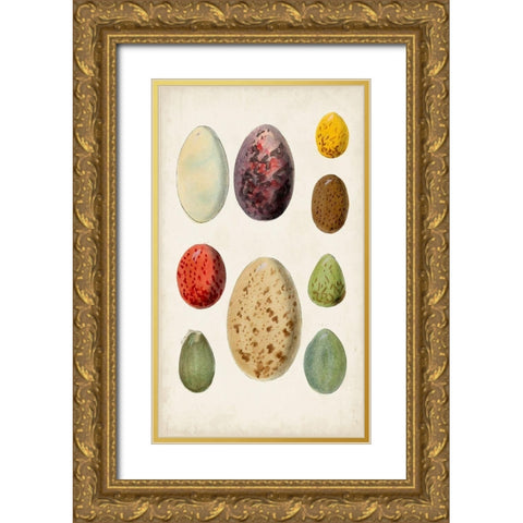 Antique Bird Eggs I Gold Ornate Wood Framed Art Print with Double Matting by Unknown