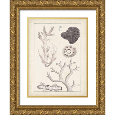 Antique White Coral II Gold Ornate Wood Framed Art Print with Double Matting by Vision Studio