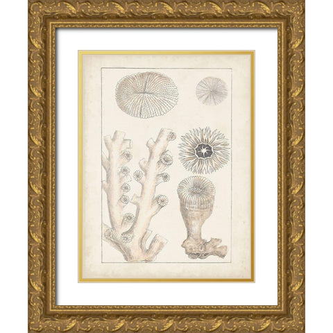 Antique White Coral III Gold Ornate Wood Framed Art Print with Double Matting by Vision Studio