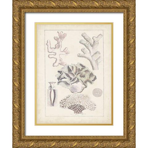 Antique White Coral IV Gold Ornate Wood Framed Art Print with Double Matting by Vision Studio