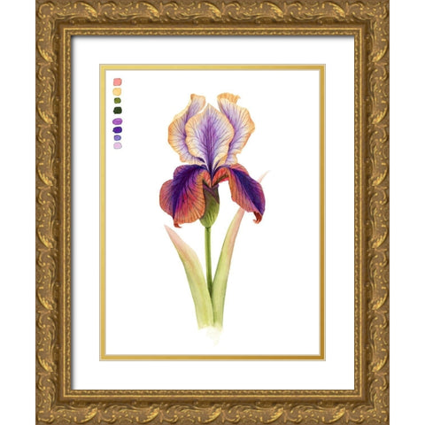 Rainbow Iris I Gold Ornate Wood Framed Art Print with Double Matting by Popp, Grace