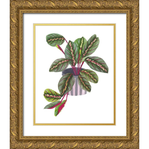 Prayer Plant II Gold Ornate Wood Framed Art Print with Double Matting by Wang, Melissa