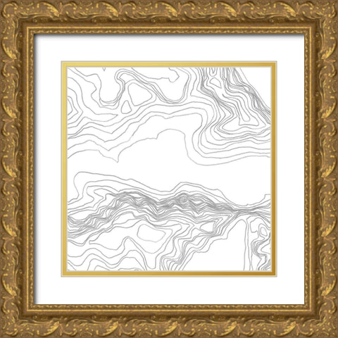 Topography Contour I Gold Ornate Wood Framed Art Print with Double Matting by Vess, June Erica