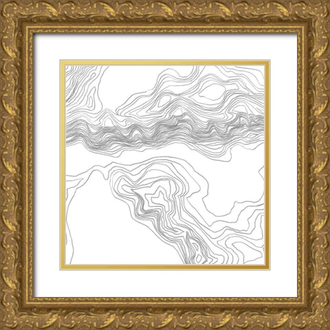 Topography Contour II Gold Ornate Wood Framed Art Print with Double Matting by Vess, June Erica