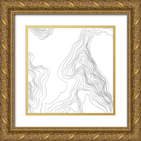 Topography Contour IV Gold Ornate Wood Framed Art Print with Double Matting by Vess, June Erica