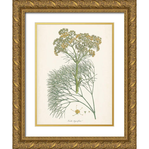 Saffron Botanicals III Gold Ornate Wood Framed Art Print with Double Matting by Unknown