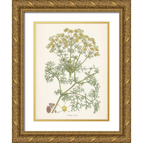 Saffron Botanicals IV Gold Ornate Wood Framed Art Print with Double Matting by Unknown