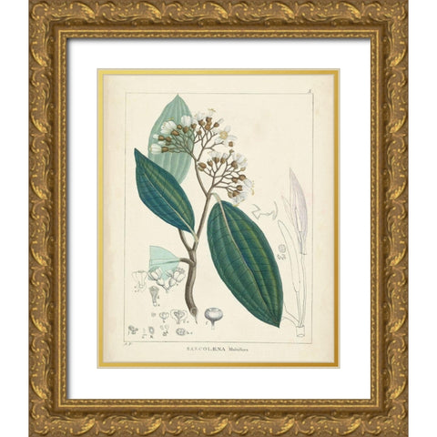 Vintage Verdure I Gold Ornate Wood Framed Art Print with Double Matting by Unknown