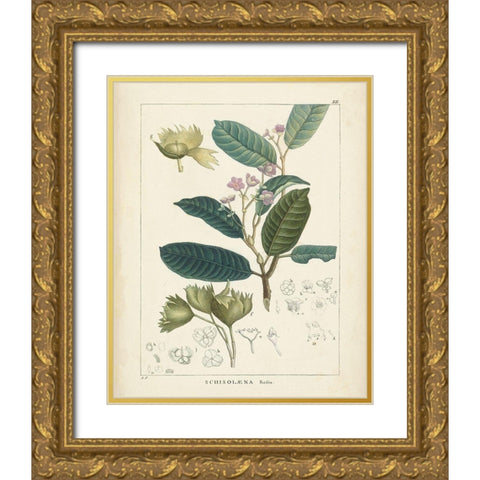Vintage Verdure II Gold Ornate Wood Framed Art Print with Double Matting by Unknown