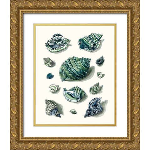 Celadon Shells II Gold Ornate Wood Framed Art Print with Double Matting by Vision Studio