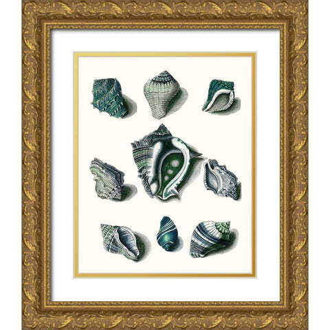Celadon Shells IV Gold Ornate Wood Framed Art Print with Double Matting by Vision Studio