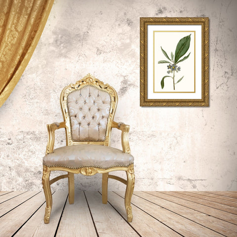 Soft Blue Botanicals II Gold Ornate Wood Framed Art Print with Double Matting by Curtis