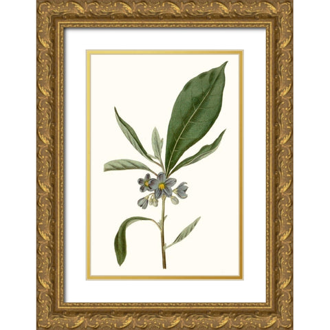 Soft Blue Botanicals II Gold Ornate Wood Framed Art Print with Double Matting by Curtis