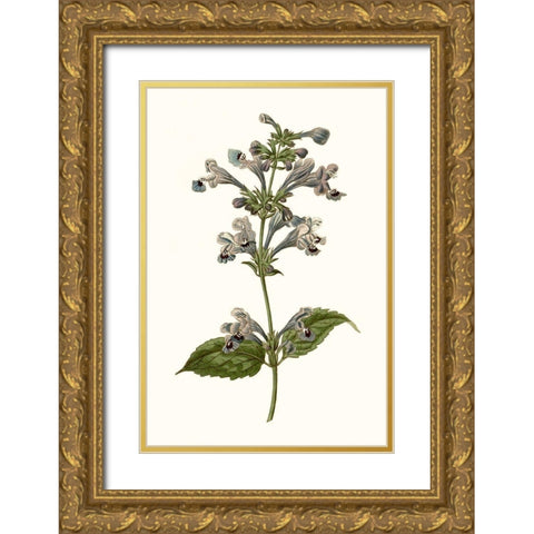 Soft Blue Botanicals III Gold Ornate Wood Framed Art Print with Double Matting by Curtis