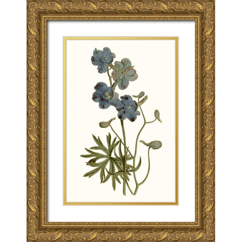 Soft Blue Botanicals V Gold Ornate Wood Framed Art Print with Double Matting by Curtis
