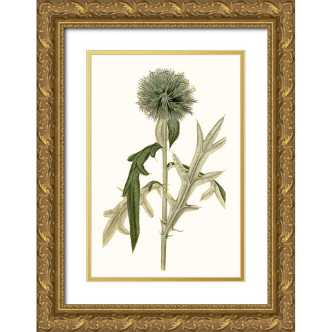 Soft Blue Botanicals VI Gold Ornate Wood Framed Art Print with Double Matting by Curtis