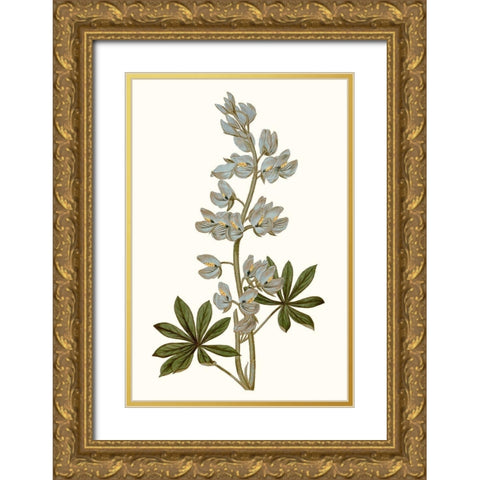 Soft Blue Botanicals VIII Gold Ornate Wood Framed Art Print with Double Matting by Curtis