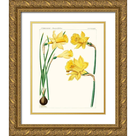 Bright Botanicals I Gold Ornate Wood Framed Art Print with Double Matting by Unknown