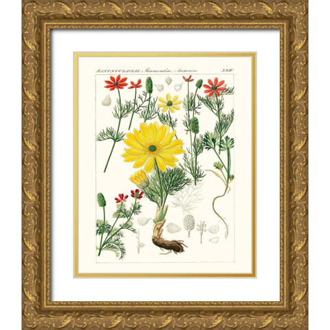 Bright Botanicals IV Gold Ornate Wood Framed Art Print with Double Matting by Unknown