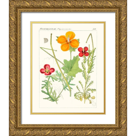 Bright Botanicals V Gold Ornate Wood Framed Art Print with Double Matting by Unknown