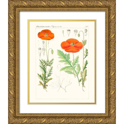 Bright Botanicals VI Gold Ornate Wood Framed Art Print with Double Matting by Unknown
