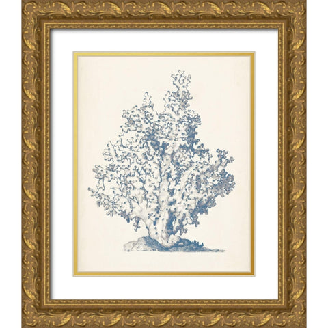 Antique Coral Collection IV Gold Ornate Wood Framed Art Print with Double Matting by Vision Studio