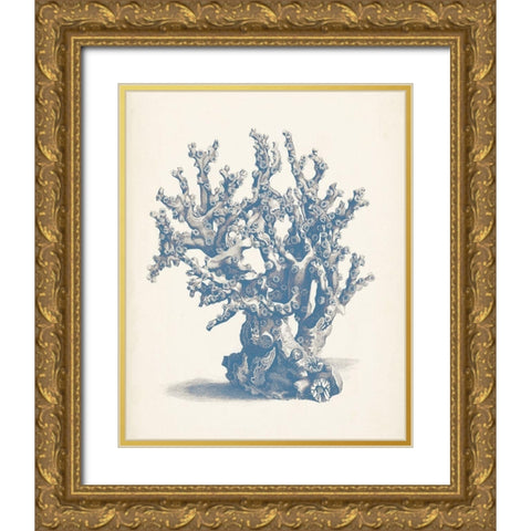 Antique Coral Collection V Gold Ornate Wood Framed Art Print with Double Matting by Vision Studio