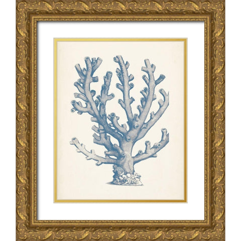 Antique Coral Collection VI Gold Ornate Wood Framed Art Print with Double Matting by Vision Studio