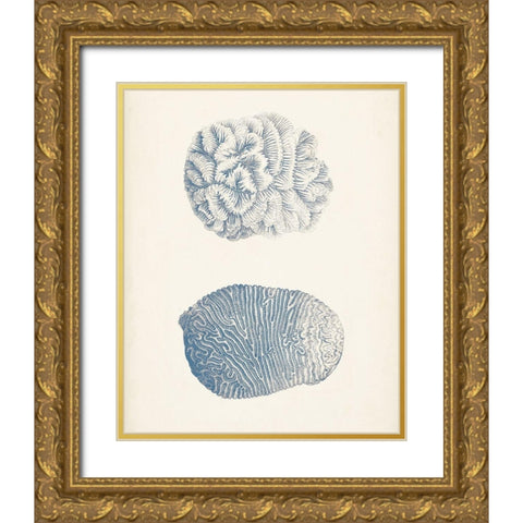 Antique Coral Collection VII Gold Ornate Wood Framed Art Print with Double Matting by Vision Studio