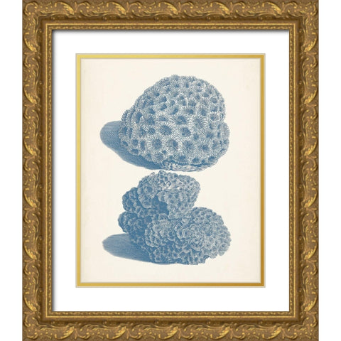 Antique Coral Collection VIII Gold Ornate Wood Framed Art Print with Double Matting by Vision Studio